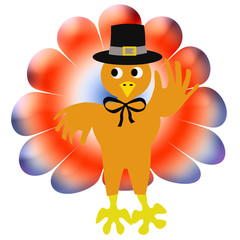 Thanksgiving turkey pilgrim