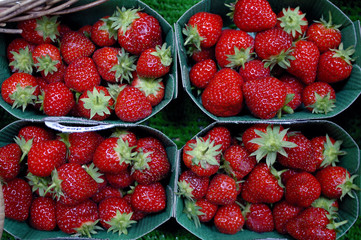barquettes de fraises