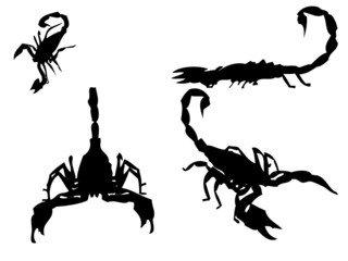 scorpion silhouette