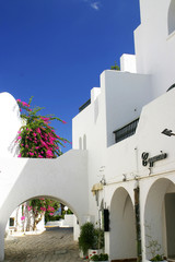 Mediteranean House 2