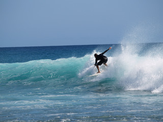SURF