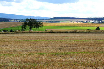 Obraz premium Stoppelfeld im Hunsrück