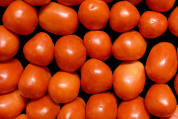 Tomatoes