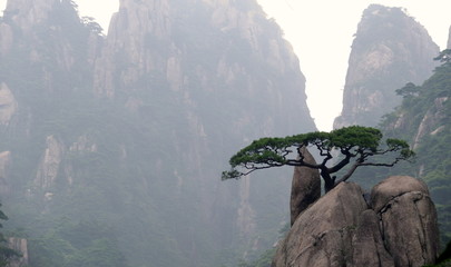 Monts Huang Shan, Chine,