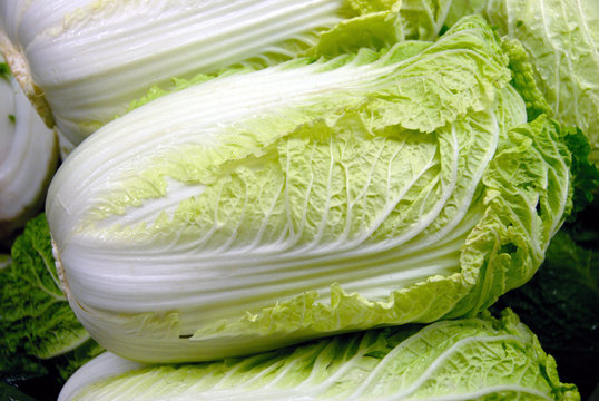 Leafy Lettuce