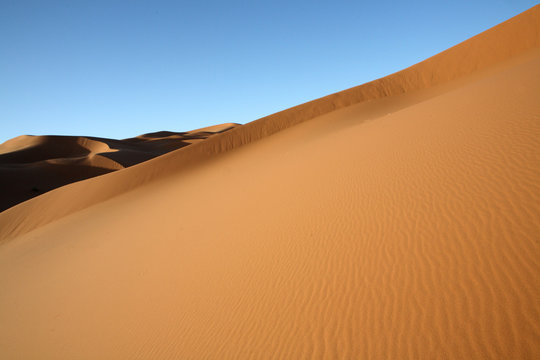 dune 7