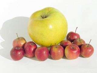 various apples