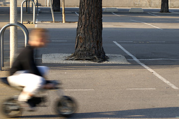 minibike