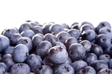 Blueberries on white