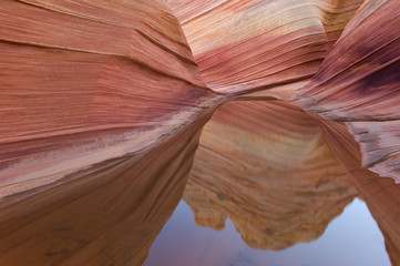 Rain Pool Coyote Buttes