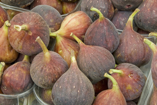 Fresh Dates