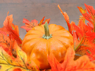 Autumn Harvest Pumpkin