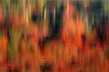 Autumn Abstract Reflections