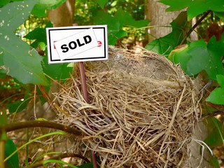 bird nest - real estate 3