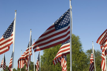 American Flag Field