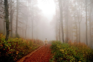 man disappearing in fogy forest