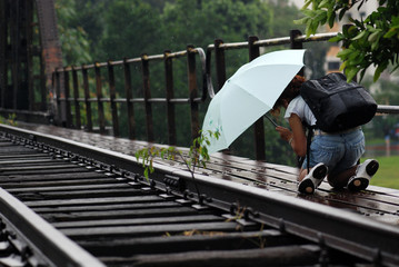People taking photo along the railway track