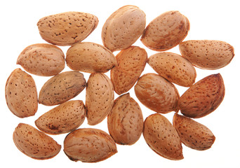 Almond nut