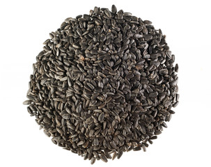 Sunflower seed