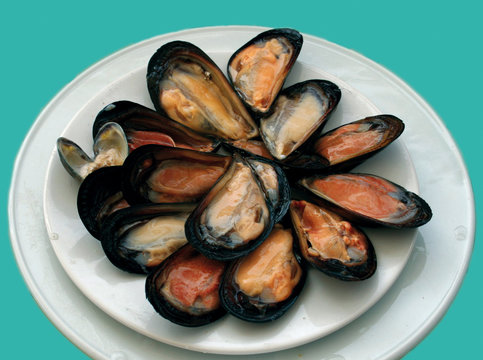 Assiette de moules sur fond vert