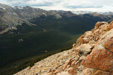 Forest Valley, Rocky Mountain National Park, Colorado