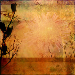 grungy artsy backdrop