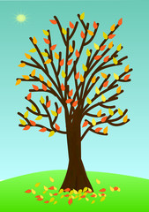 Autumn tree with poor foliage