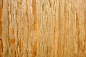 Wood texture close up background.