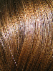 Naklejka premium hairs