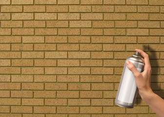 spray can bricks