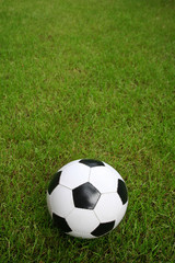 Soccer ball on a field