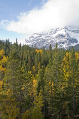 Canadian Rocky Mountains