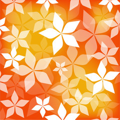 Fototapeta na wymiar Fleurs blanches fond orange - Motif