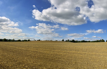 Fototapeta premium field