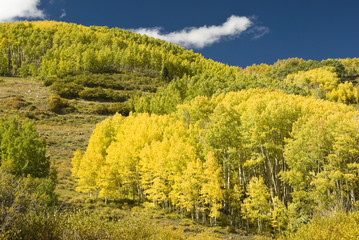 Fototapeta premium Boulder Mountain 5