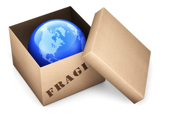Fragile Earth