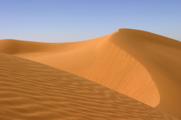 Fototapeta na wymiar Wydma w marokańskiej pustyni