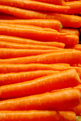Fresh Pile of Carrots with Water Droplets