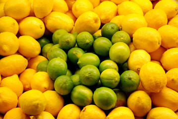 Limes Surrounded by Lemons