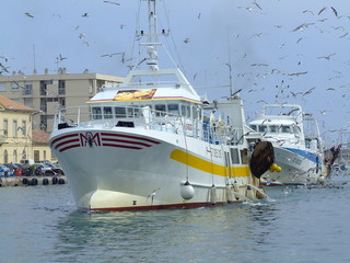 les bateaux de pêche.