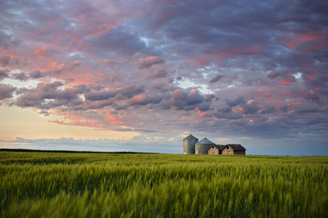 Summer Evening on the Prairie - obrazy, fototapety, plakaty