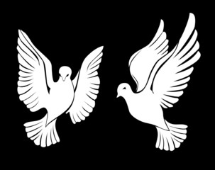 dove