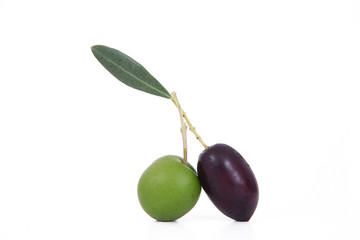 olive 67