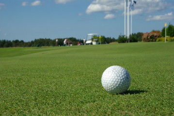 Golfcourse with a golfball