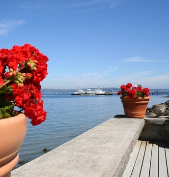 Seattle Ferry At Vashon Island