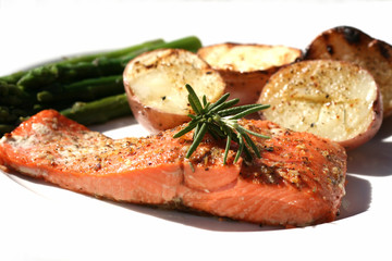 Salmon