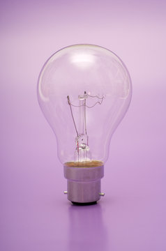 Light bulb on purple