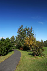 autumn path