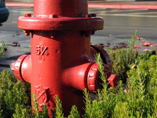 fire hydrant