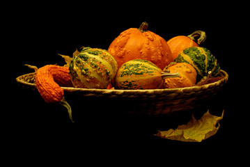 Basket of pumpkins on black